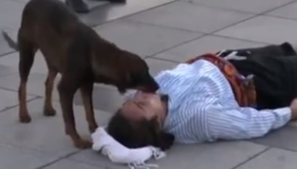 El perro callejero se acercó al actor y se mostró muy cariñoso con él. (Foto: Haber Takvimi / YouTube)