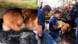 Perrita estuvo atrapada 20 horas bajo una piedra y provocó que todo un pueblo ayude a rescatarla