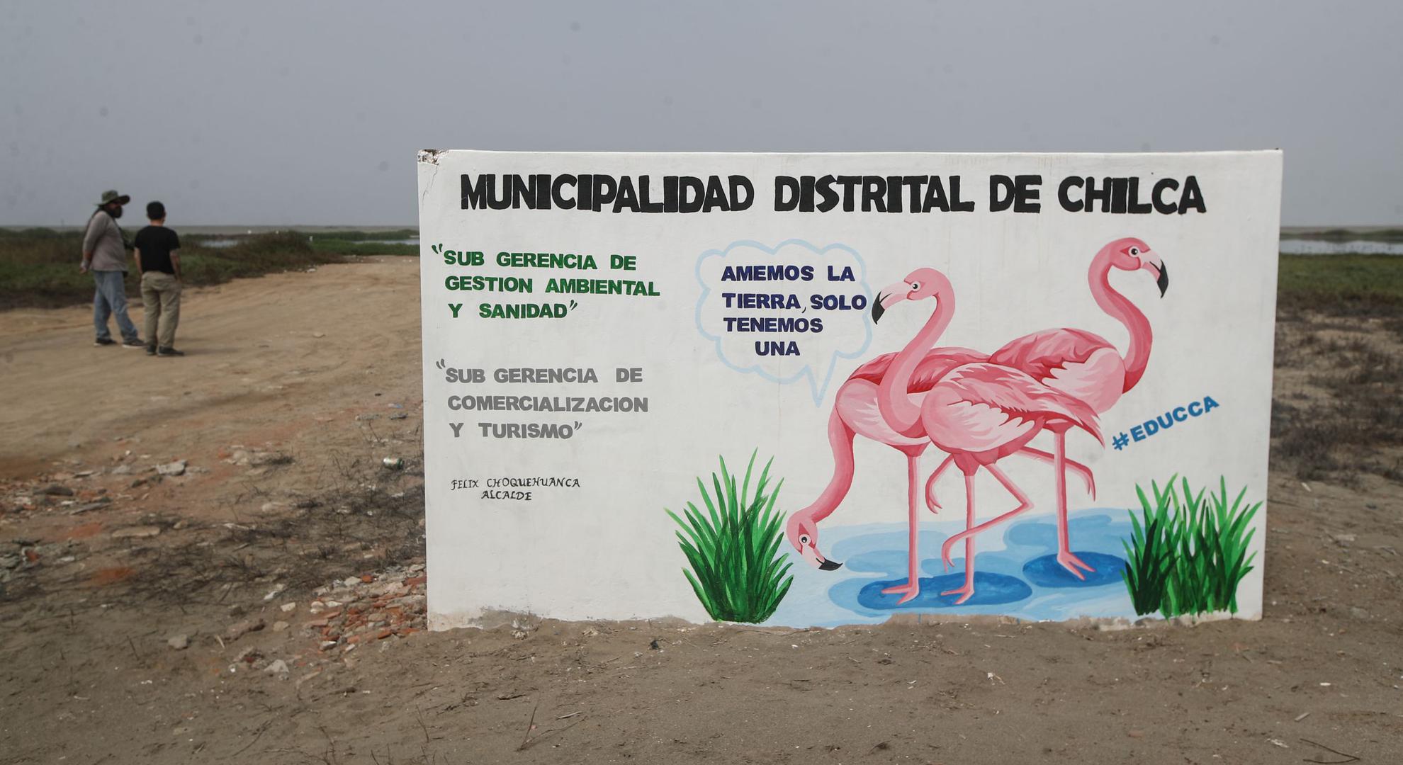 En la zona del humedal, el municipio de Chilca “viene realizando trabajos de limpieza y sensibilización” para evitar que los vecinos arrojen desperdicios y dañen el ecosistema.