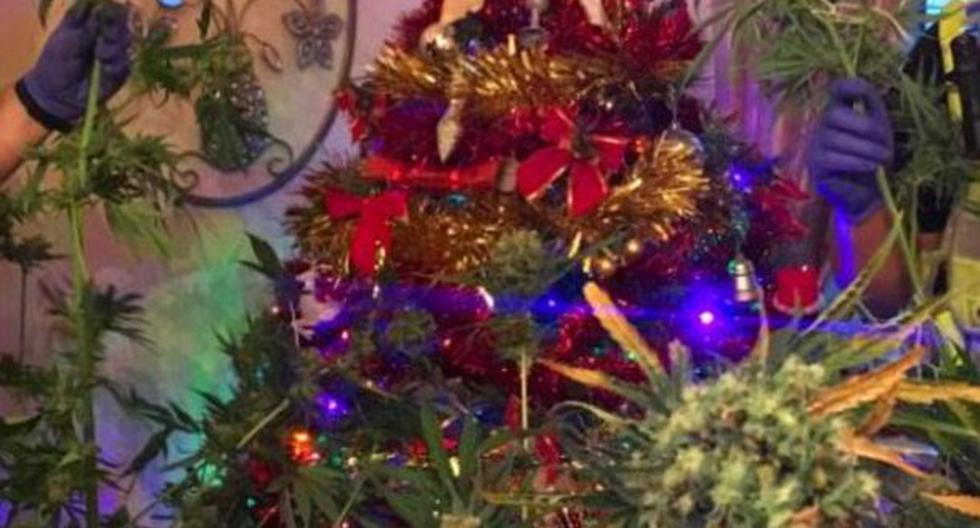 Pareja sorprende a agentes con su árbol de Navidad. (foto: Twitter Glos Police)