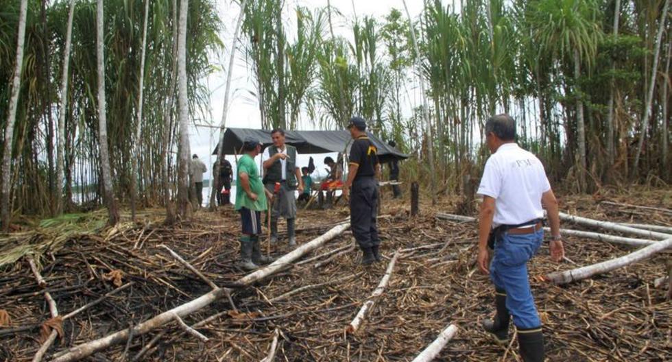 Imagen referencial de tala ilegal en Reserva Pacaya Samiria. (Foto: Andina)