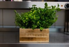 El truco para desinfectar y conservar verduras de hojas verdes
