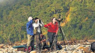 Perú: uno de los mejores destinos del mundo para la observación de aves 