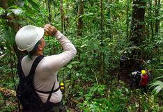 Adex: Hay que poner en valor bosques amazónicos para promover empleo y reducir pobreza en esas regiones