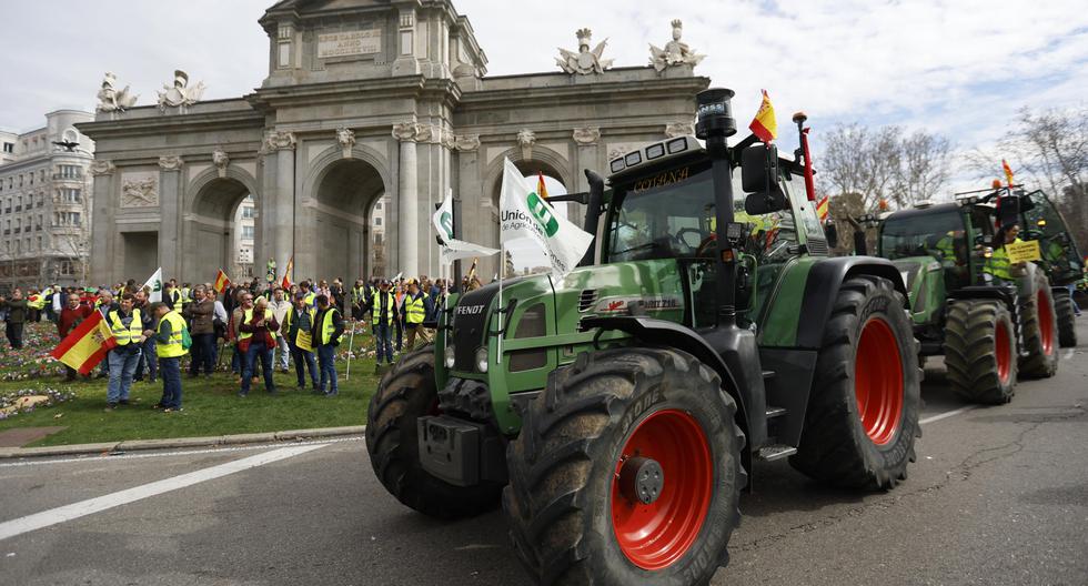 Los agricultores españoles llegados desde distintas partes de España protestas en Madrid. (EFE/ Mariscal).