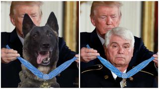 El montaje que usó Trump para mostrar la “condecoración” al perro héroe 
