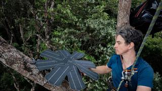 Crean un sistema de monitoreo de bosques con viejos modelos de celulares y paneles solares