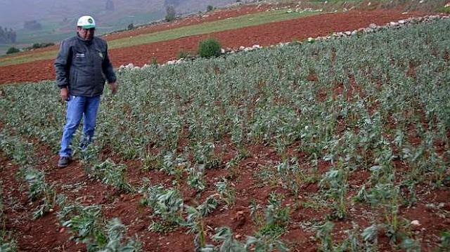 Este año licitarán obras para asegurar riego de Ica