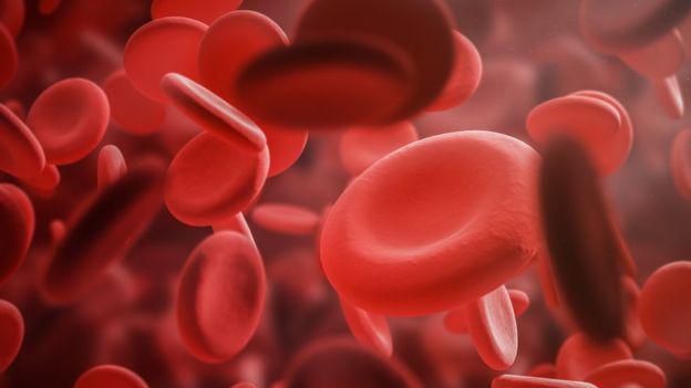 Los glóbulos rojos son necesarios para transportar oxígeno al resto del cuerpo. (Foto: Getty)