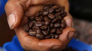 Estudio advierte que el cambio climático alterará las zonas de cultivo de café