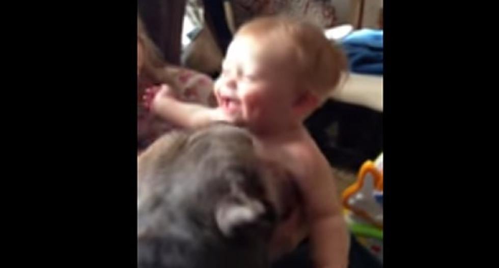 Mira este tierno espectáculo que un pitbull le da a un bebé. (Foto: Captura)