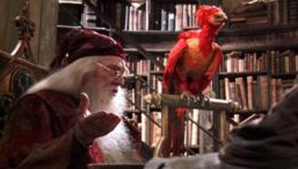El ave f&eacute;nix que Dumbledore tiene en su oficina se encuentra en mitos de la antig&uuml;edad, incluidos textos de T&aacute;cito y Herodoto. (Foto: Warner Bros)