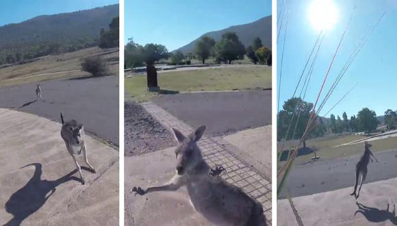 Un paracaidista resultó ileso de su encuentro cercano con un canguro al que creía amistoso. (Foto: ViralHog en YouTube)