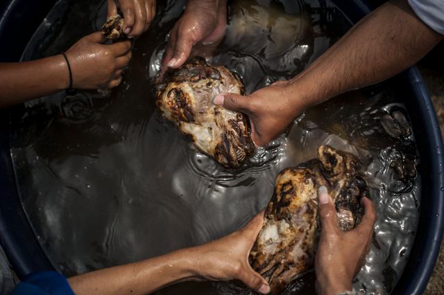 Los fieles de la Iglesia del Nuevo Pacto Universal replican el modo de vida de los hebreos en los tiempos de Cristo. Foto: Elias Alfageme