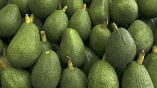 Fenómeno de El Niño haría caer un 10% la producción de palta