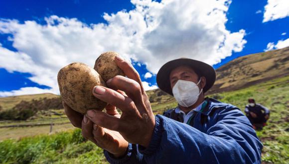 Bono Wanuchay de 350 soles: ¿cómo saber si soy beneficiario y hasta cuándo se entregará el subsidio? (Foto: Andina)