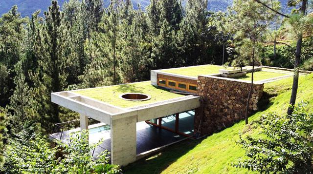 ¿Una 'casa jardín'? Mira esta vivienda con techos eco-friendly - 2