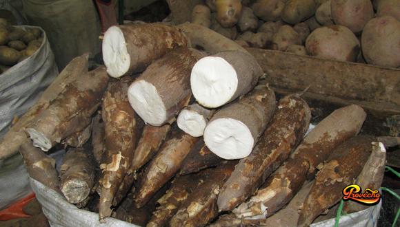 La yuca es utilizada en la cocina norteña y amazónica, principalmente. Esta raíz estuvo presente en nuestra tierra desde 6800 a.C.