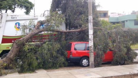 Cercado de Lima: árbol cayó sobre automóvil