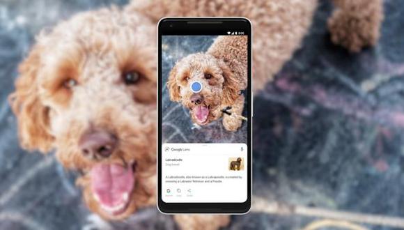 Google Lens permite reconocer todo lo que hay a nuestro alrededor.  (Foto: Google)