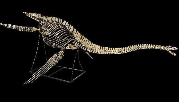 Marruecos busca repatria el fósil de emblemático dinosaurio