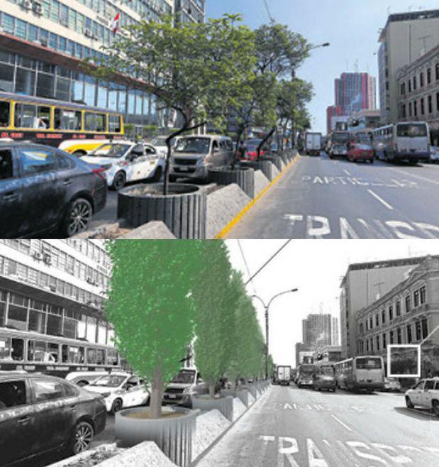 El verde que Lima necesita: plantar árboles para reducir el calor