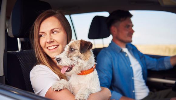 Viajar con tu mascota puede fortalecer el vínculo entre ambos y brindarles la oportunidad de compartir nuevas experiencias juntos. Sin duda, tener a tu mascota como compañera de viaje puede hacer que los momentos sean más especiales y significativos.