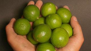 Minagri prevé que precio del limón empiece a bajar a partir del último trimestre del año