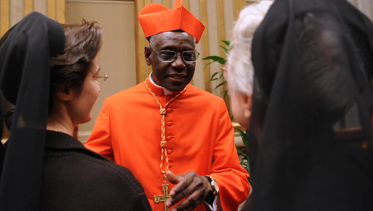 Newly appointed cardinal, Guinean Robert Sarah (C) greets visitors during the traditionnal courtesy visit after the consistory on November 20, 2010 at The Vatican. 24 Roman Catholic prelates joined the Vatican's College of Cardinals, the elite body that advises the pontiff and elects his successor upon his death.  AFP PHOTO / ALBERTO PIZZOLI (Photo by ALBERTO PIZZOLI / AFP)