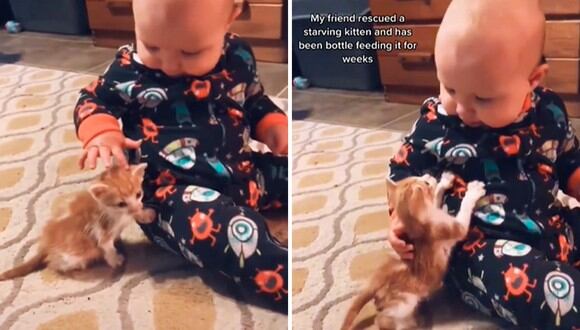 Una bebé y un gatito se han convertido en los protagonistas de uno de los videos más virales en redes sociales. | Créditos: @librarylydia / TikTok.