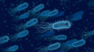 La OMS alerta que no se están desarrollando antibióticos capaces de acabar con las superbacterias 