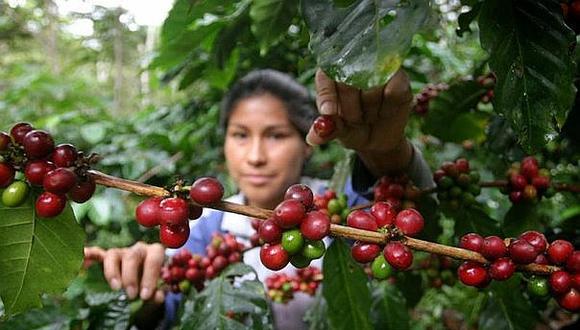 Al cierre del 2020, los envíos tradicionales caerían 20%. Las exportaciones agrarias, en tanto, podrían cerrar con un crecimiento que ronde entre 4% y 5%; impactado, en parte, por las protestas que se dieron por la nueva ley agraria en diciembre.