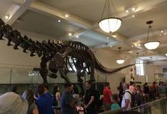 La realidad virtual "resucita" el apatosaurus, un dinosaurio del Jurásico