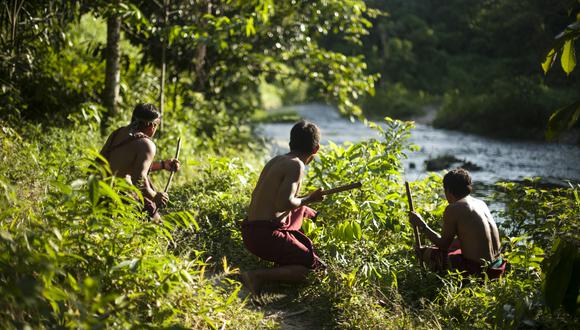Los pueblos indígenas han desarrollado acciones de protección y una buena gestión del bosque en los territorios donde habitan. (Foto: Elías Alfageme / El Comercio)