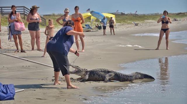 Cocodrilo fue atrapado en playa de EE.UU. cerca de bañistas - 2