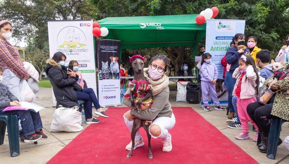 Perritos y gatos podrán ser vacunados con disfraces en campaña ‘Vacunapet’ este miércoles en Surco | Foto: Municipalidad de Surco
