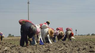 Midagri: En una semana como máximo estará la primera lista de agricultores beneficiados de bono por sequía