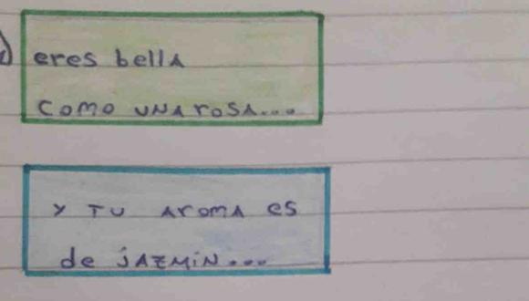 Esta es la historia de un poema escrito por un alumno que se inspiró con Dragon Ball.