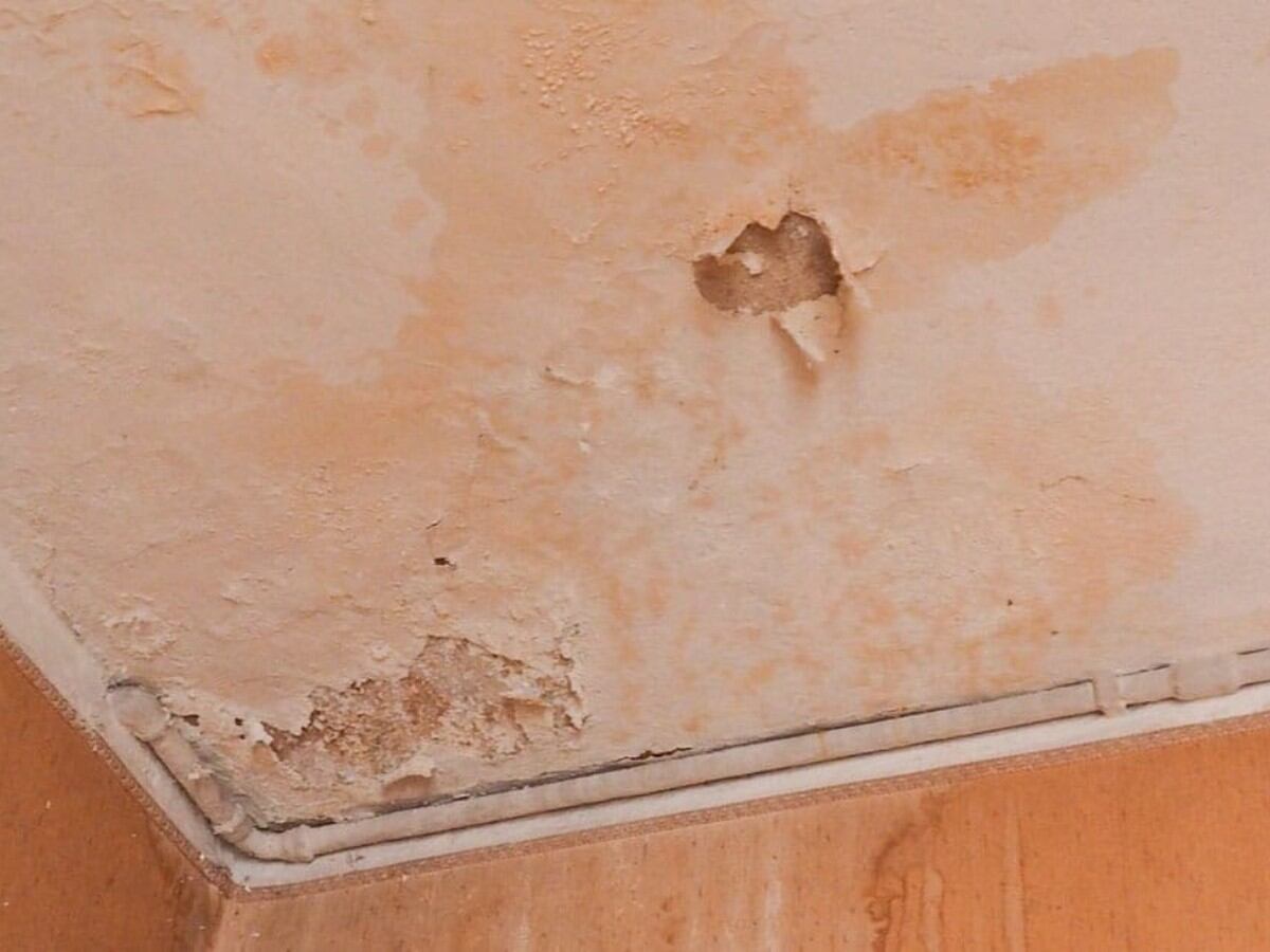 Cómo desaparecer la humedad de las paredes en simples pasos, RESPUESTAS