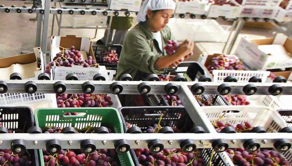 La agroexportación peruana creció 21% en enero de este año frente al mismo mes del 2021. (Foto: GEC)