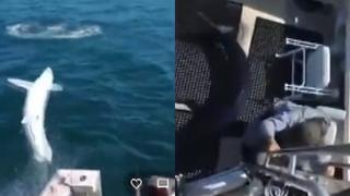 Estados Unidos: Tiburón de dos metros saltó a barco con tripulación adentro | VIDEO
