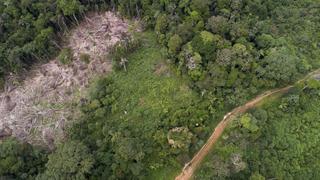 El peligroso camino de la reactivación económica en la Amazonía peruana