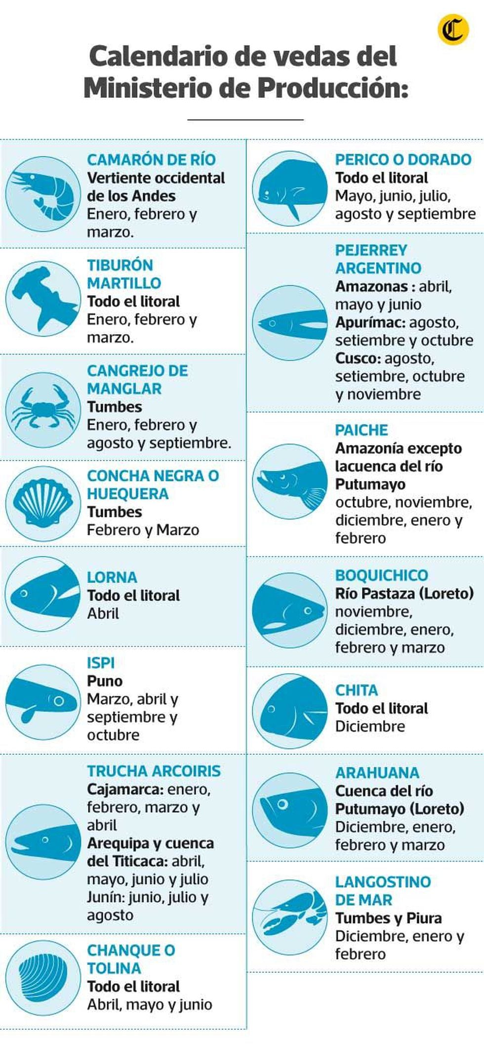 Especies en veda y fechas en las que no pueden ser pescadas o comercializadas, según el Ministerio de Producción. (Infografía: GEC)