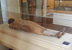 Brasil: La momia egipcia que "provocaba trances" y fue consumida por incendio del museo