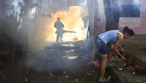 En tres pasos: claves para entender mejor al dengue