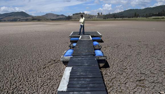 El ingeniero colombiano Hernán Sandino se encuentra en la laguna de Suesca, que se secó debido a una fuerte sequía producida por el cambio climático desde el 2012. (RAUL ARBOLEDA / AFP).