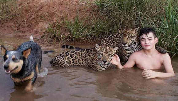 Esta foto de Tiago con dos jaguares y uno de ellos que parece que lo está abrazando se volvió viral. (Foto: Cortesía de la familia Silveira)