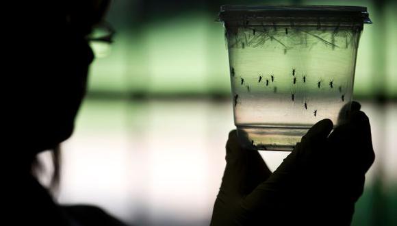 EE.UU. planea probar en humanos vacuna contra el zika este año
