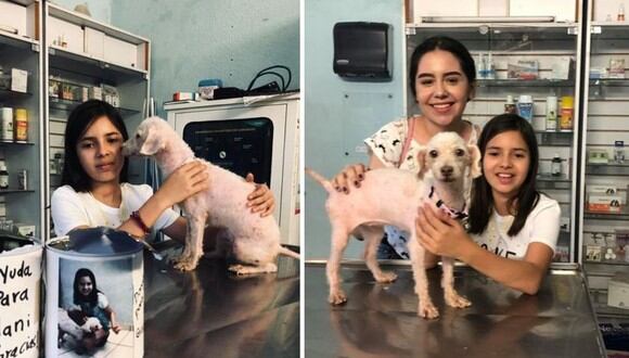 Victoria, la niña mexicana que decidió donar todos sus ahorros para ayudar en la recuperación de 'Nani', una perrita callejera que padece cáncer | Foto: Facebook / Rescates con amor Culiacán