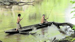 "Río Verde, el tiempo de los yakurunas" y otras películas sobre la ayahuasca